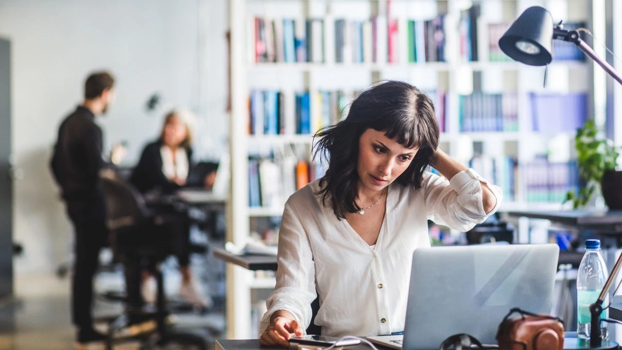 Çalışma İzni Başvurusu